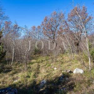 Veliko neurbanizirano zemljište blizu Krka, potencijal!