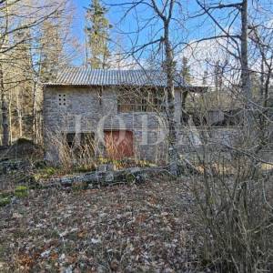 Vikendica - Maševo sa velikom okućnicom