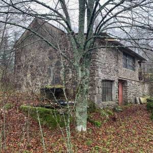Vikendica - Maševo sa velikom okućnicom