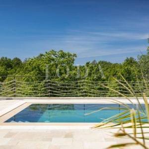 Višnjan, prekrasna istarska Villa s pogledom na prirodu