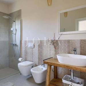 Višnjan, prekrasna istarska Villa s pogledom na prirodu