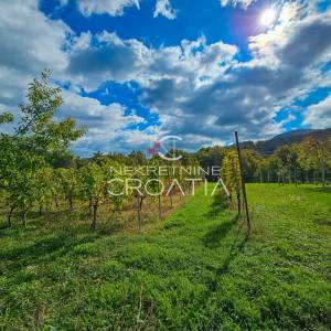 Vitešinec: povoljno!