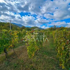 Vitešinec: povoljno!