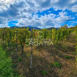 Vitešinec: povoljno!