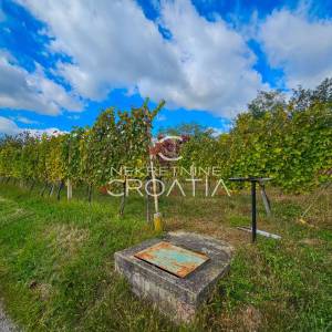 Vitešinec: povoljno!