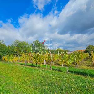 Vitešinec: povoljno!