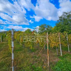 Vitešinec: povoljno!