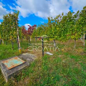 Vitešinec: povoljno!