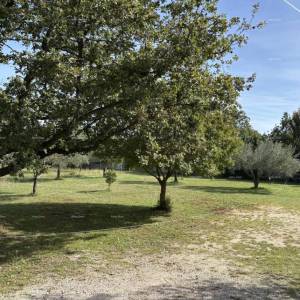 VODNJAN - Prodaja / građevinsko zemljište oko 700m