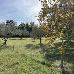 VODNJAN - Prodaja / građevinsko zemljište oko 700m