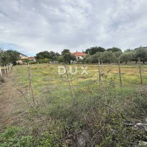 ZADAR, POLIČNIK – Građevinsko zemljište 2.166 m², Odlična lokacija