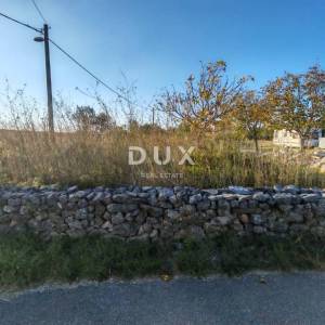 ZADAR, PRIDRAGA - PRILIKA! Maslinik na građevinskom terenu