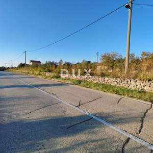 ZADAR, PRIDRAGA - PRILIKA! Maslinik na građevinskom terenu