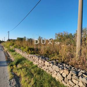 ZADAR, PRIDRAGA - PRILIKA! Maslinik na građevinskom terenu