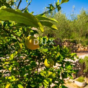 ZADAR, VELI IŽ - Komad raja s privatnim pristupom plaži!