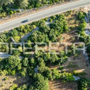 Zemljište 1.626 m² na otoku Korčuli – spoj prirode i mogućnosti