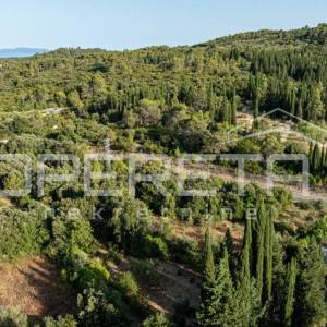 Zemljište 1.626 m² na otoku Korčuli – spoj prirode i mogućnosti