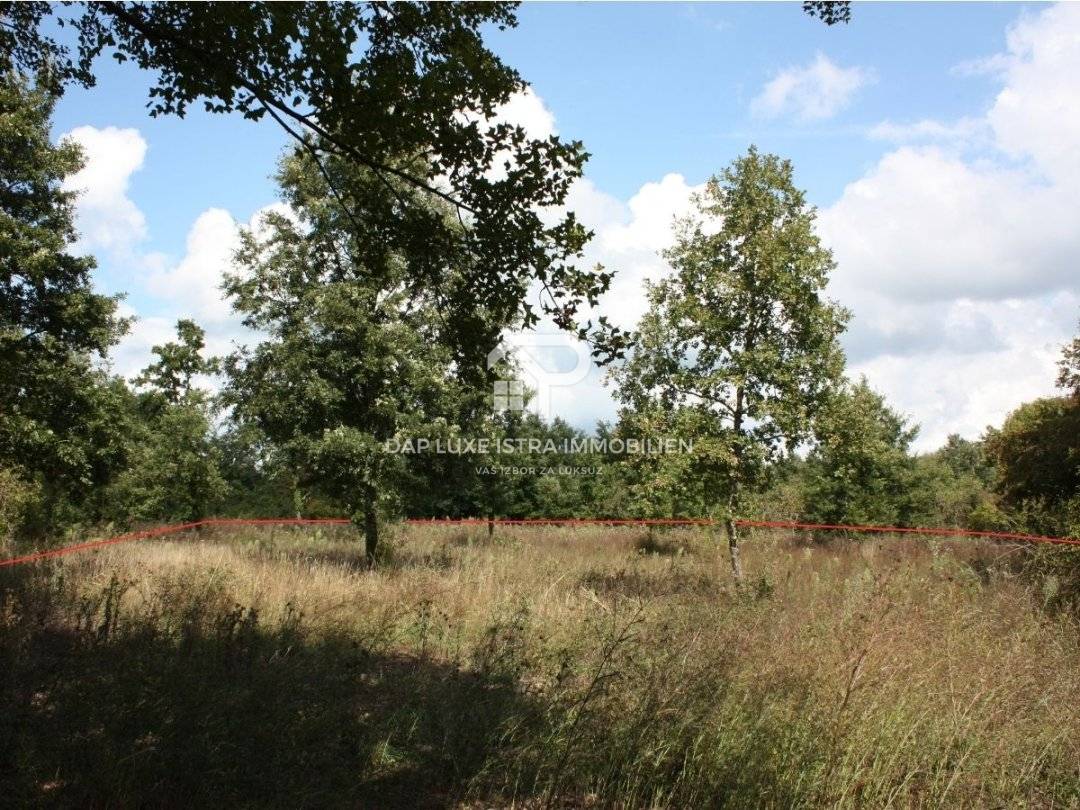 Zemljište građevinsko - okolica Barbana - 784m2