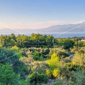 Zemljište, Supetar otok Brač, pogled na more i idejni projekt za 4 luksuzne vile