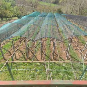 Zlatar/Jertovec/ Vikendica 36 m2 /Klijet / voćnjak/  zemljište 1.717 m2
