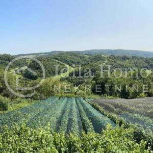 Zlatar/Jertovec/ Vikendica 36 m2 /Klijet / voćnjak/  zemljište 1.717 m2