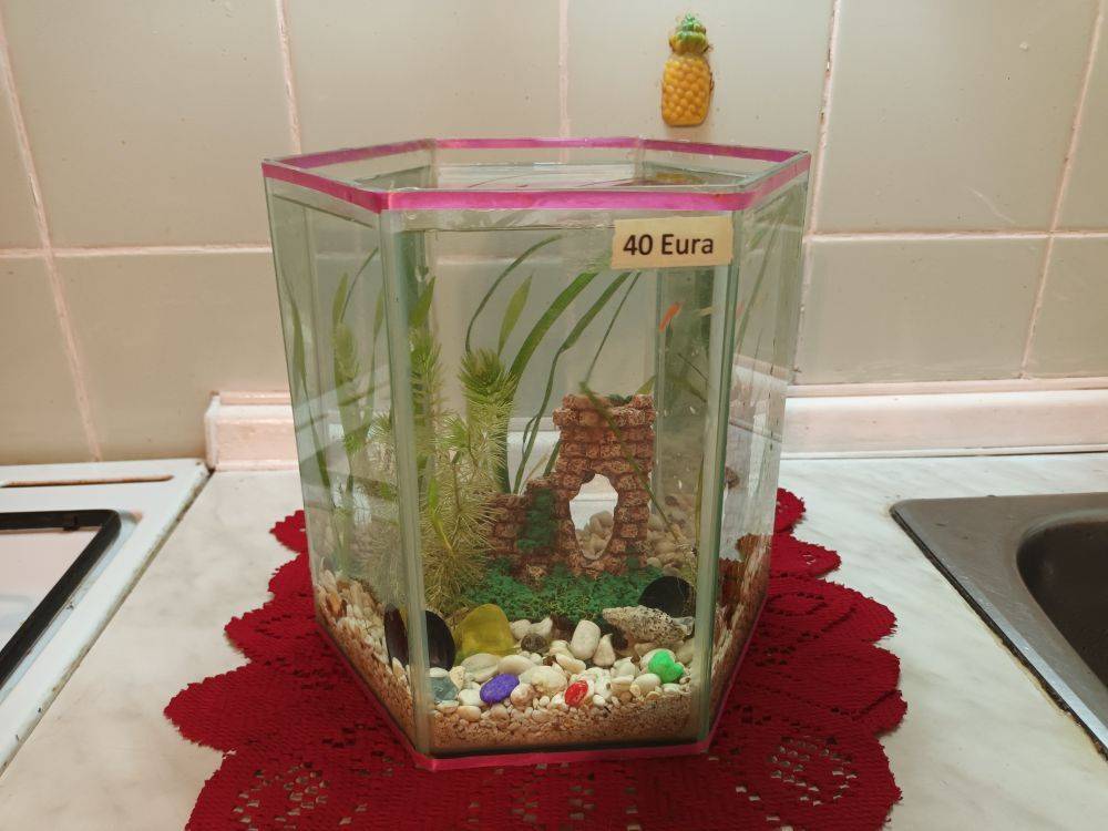 Akvarij šesterokutni