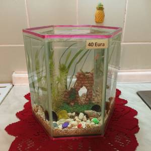 Akvarij šesterokutni