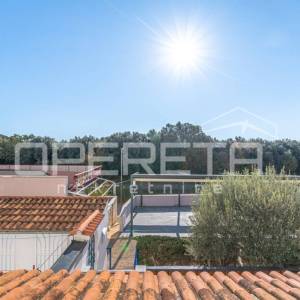 Apartman Barbariga 30.5m2 - 300m od mora