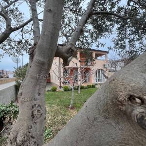 Apartmanska Ljetna Oaza na Otoku VIru - Top Lokacija