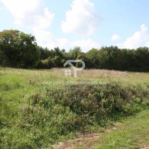 Barban 1200m2 Građevinsko zemljište s dozvolom na prodaju