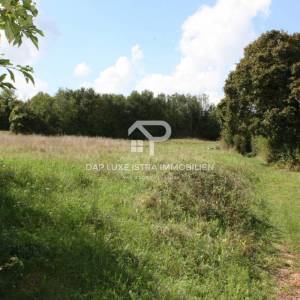 Barban Istra Građevinsko zemljište s dozvolom 900m2