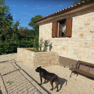 Barban, kuća za odmor s bazenom