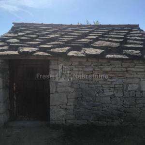 BENKOVAC-LEPURI-ATRAKTIVAN  MASLINIK SA 500 MASLINA NA 27292m2