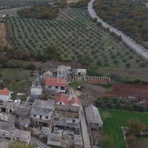 BENKOVAC-LEPURI-ATRAKTIVAN  MASLINIK SA 500 MASLINA NA 27292m2