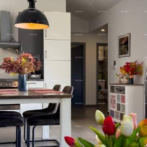 Blizina Barbana. Ekskluzivna ponuda, samo u našoj aganciji! Dvije, nove dvojne kuće, idealno jedna za življenje a druga za rent...