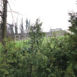 Borčec, Rušiščak, poljoprivredno zemljište