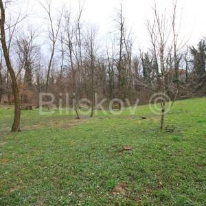 Borčec, Rušiščak, poljoprivredno zemljište