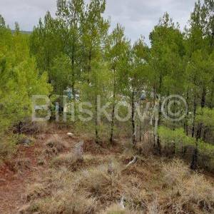 Brač, Bol 1750 m2 zemljište gospodarske namjene K3