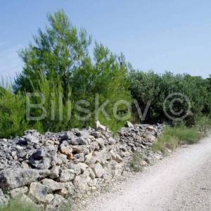 Brač, Milna, građevinsko zemljište 17699 m2