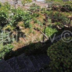 Brač, Milna,  samostojeća kuća 50 m od mora