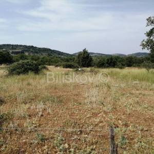 Brač, Nerežišća, poljoprivredno zemjište