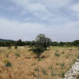 Brač, Nerežišća, poljoprivredno zemjište