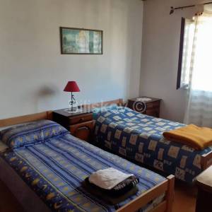 Brač, Nerežišća, samostojeća kuća sa okućnicom