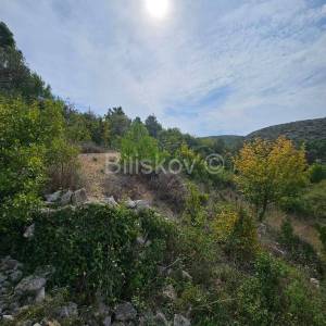 Brač, prodaja 4356m2 zemljište, legaliziran objekt 47m2