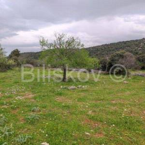 Brač, Selca poljoprivredno zemljište površine 11500 m2