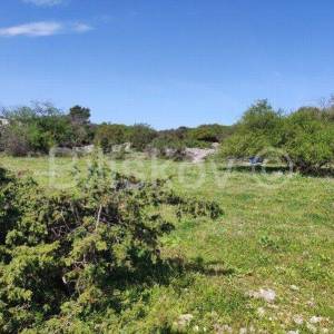 Brač, Selca poljoprivredno zemljište površine 11500 m2