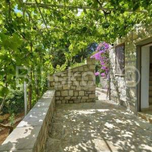 Brač, Splitska 2 kuće, bazen, okućnica 1000 m2, 150m od mora 