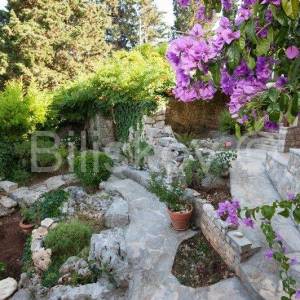 Brač, Splitska 2 kuće, bazen, okućnica 1000 m2, 150m od mora 