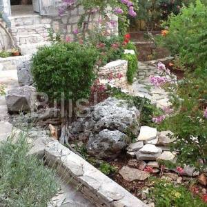 Brač, Splitska 2 kuće, bazen, okućnica 1000 m2, 150m od mora 