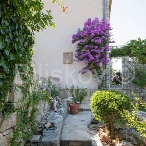 Brač, Splitska 2 kuće, bazen, okućnica 1000 m2, 150m od mora 